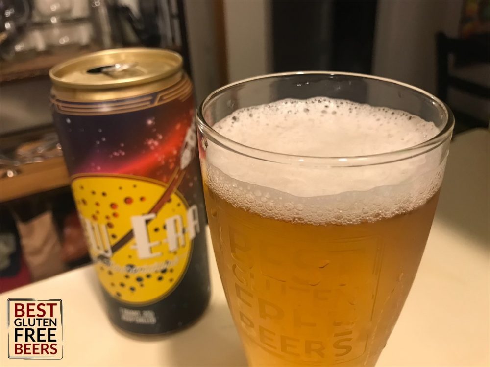 Neff Brewing Houston We Have A Problem Mexican Lager